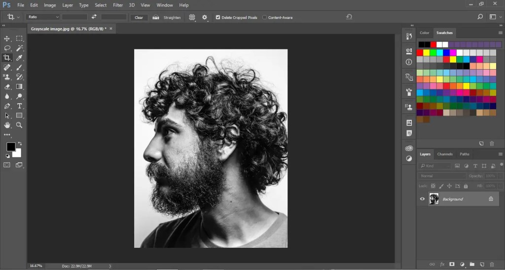 Crop the image
